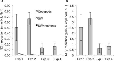 Copepod-Associated Gammaproteobacteria Respire Nitrate in the Open <mark class="highlighted">Ocean Surface</mark> Layers